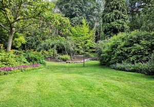 Optimiser l'expérience du jardin à Lourenties