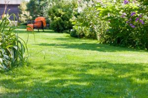 travaux jardin et paysage Lourenties